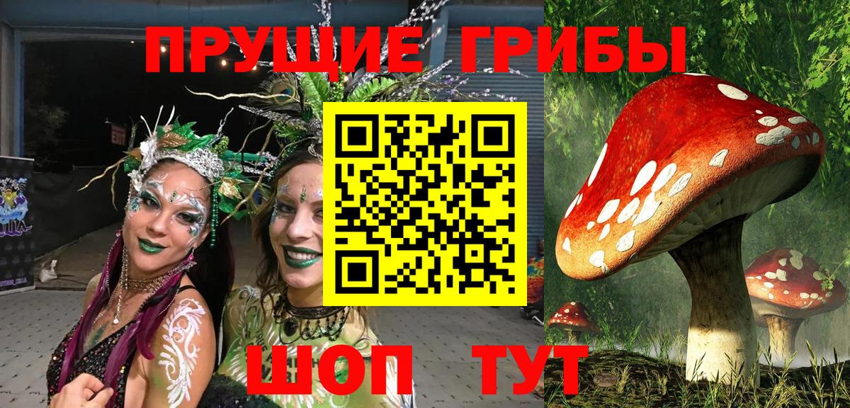 Галлюциногенные грибы ЛСД Томск