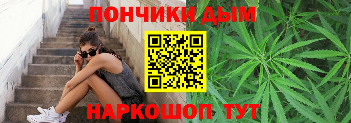 Каннабис планчик Томск